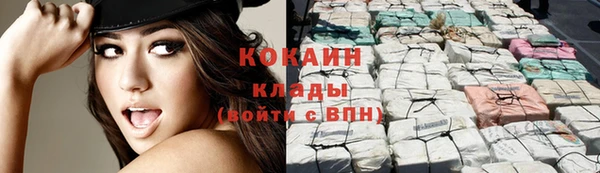 бошки Алзамай