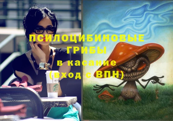 герыч Новодвинск