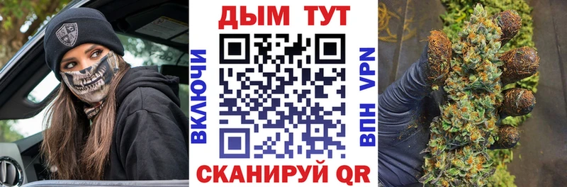 дарк нет клад  Шатура  Каннабис тримм 
